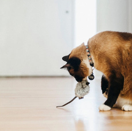 P.L.A.Y. plyšové myšky pro kočky