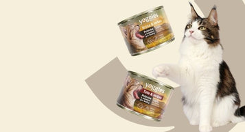 Static banner 2