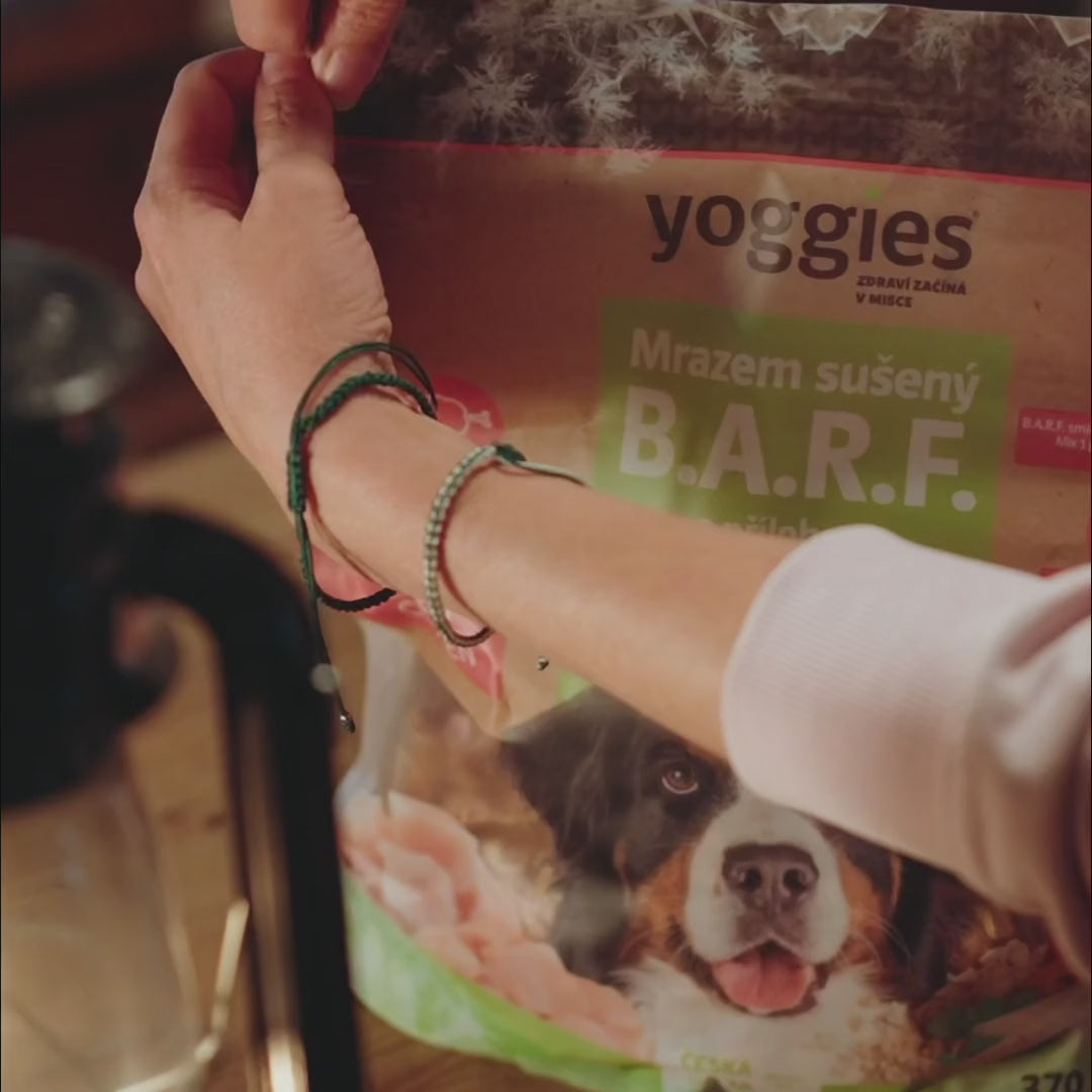 370 g Yoggies Mrazem sušený BARF s přílohou - Hovězí